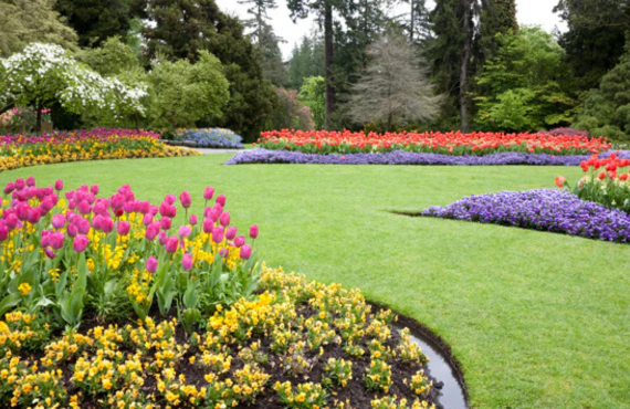 Landscape Designing Details